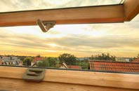 rated Lyons Green roof window companies